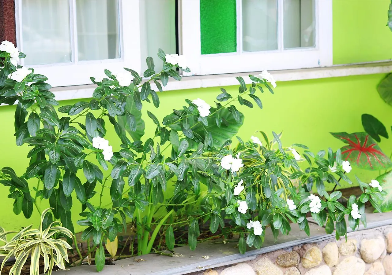 Pousada Acquamarine Cabo Frio Guest house